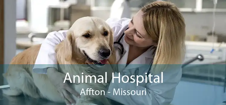 Animal Hospital Affton - Missouri