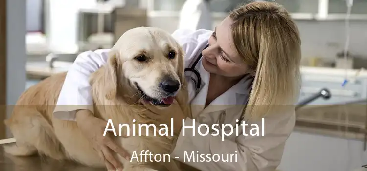 Animal Hospital Affton - Missouri