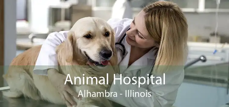 Animal Hospital Alhambra - Illinois