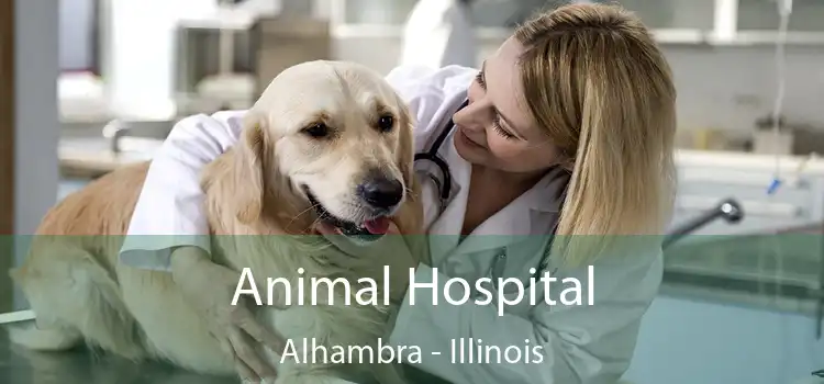 Animal Hospital Alhambra - Illinois