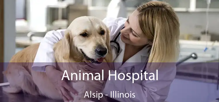 Animal Hospital Alsip - Illinois