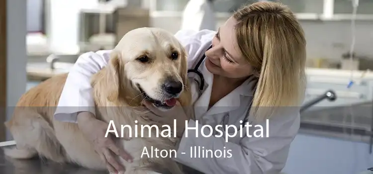 Animal Hospital Alton - Illinois