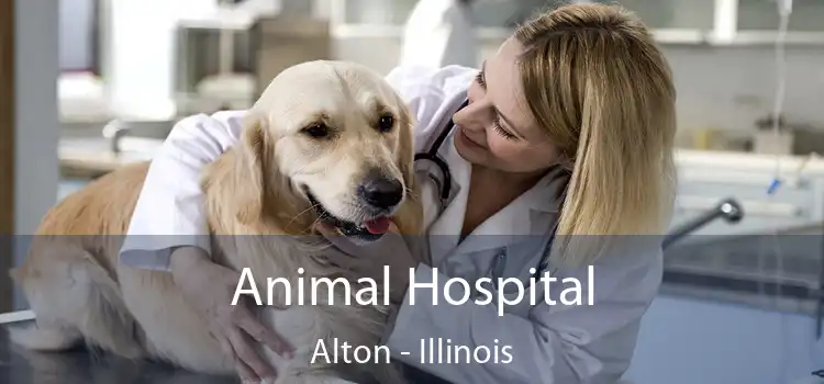 Animal Hospital Alton - Illinois