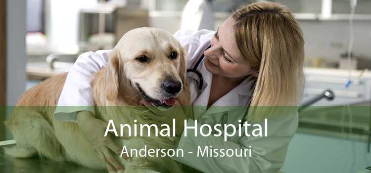 Animal Hospital Anderson - Missouri