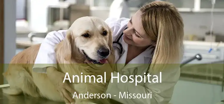 Animal Hospital Anderson - Missouri