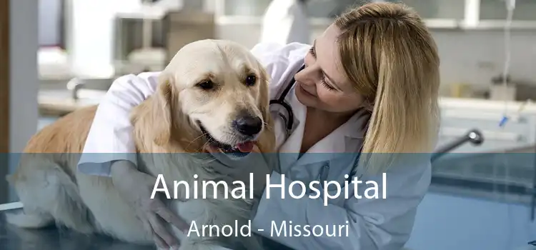 Animal Hospital Arnold - Missouri