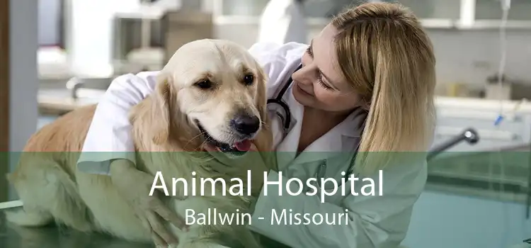 Animal Hospital Ballwin - Missouri