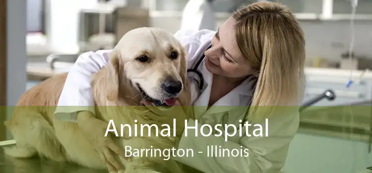Animal Hospital Barrington - Illinois