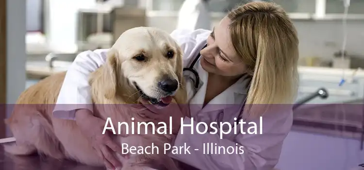 Animal Hospital Beach Park - Illinois