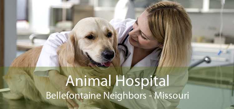 Animal Hospital Bellefontaine Neighbors - Missouri