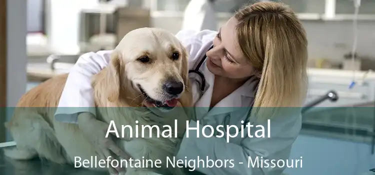 Animal Hospital Bellefontaine Neighbors - Missouri