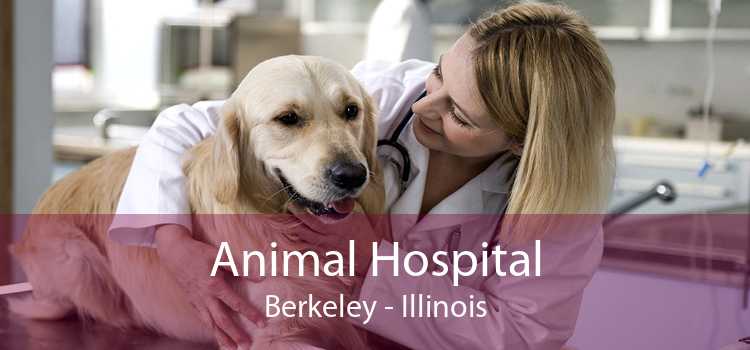 Animal Hospital Berkeley - Illinois