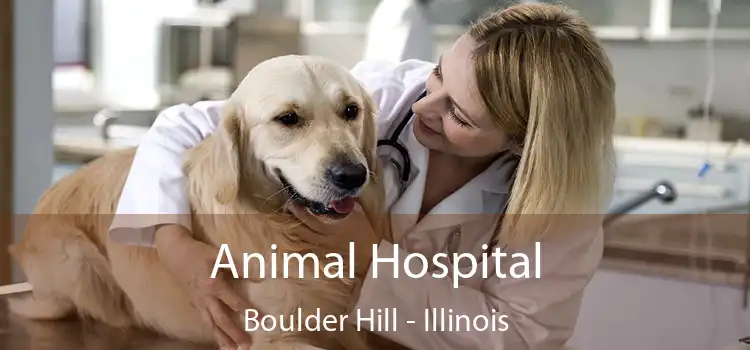 Animal Hospital Boulder Hill - Illinois