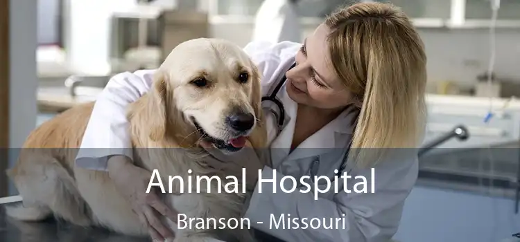 Animal Hospital Branson - Missouri