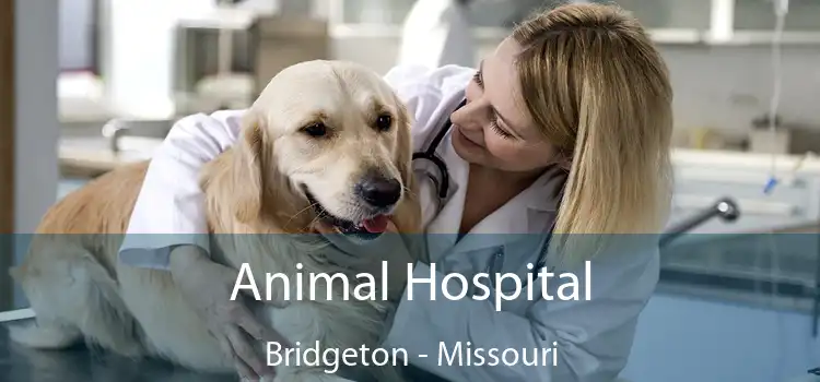 Animal Hospital Bridgeton - Missouri