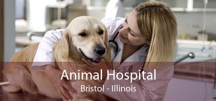 Animal Hospital Bristol - Illinois