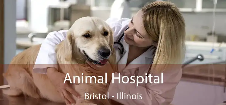 Animal Hospital Bristol - Illinois