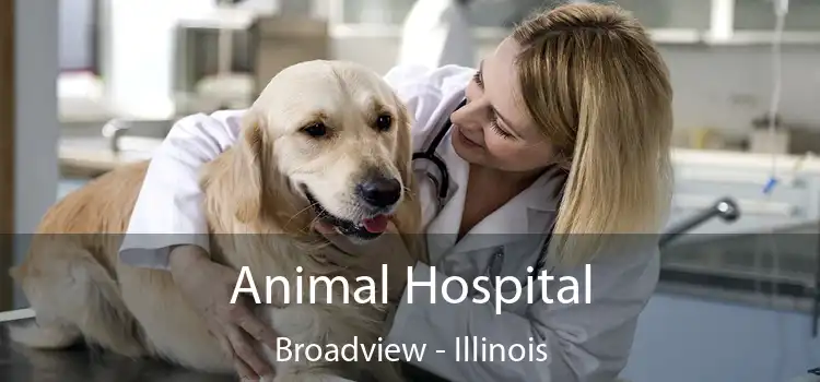 Animal Hospital Broadview - Illinois