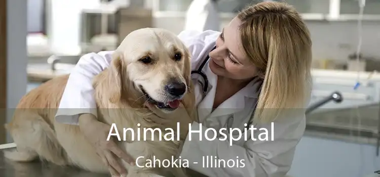 Animal Hospital Cahokia - Illinois