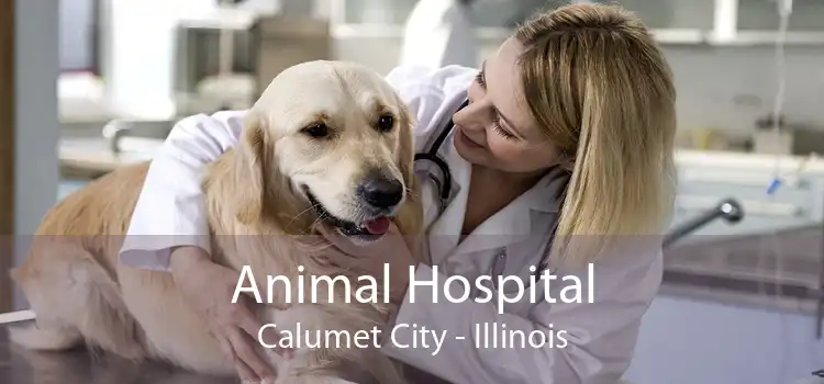 Animal Hospital Calumet City - Illinois
