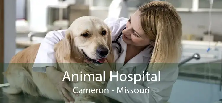 Animal Hospital Cameron - Missouri