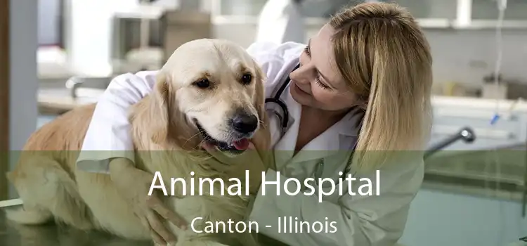 Animal Hospital Canton - Illinois