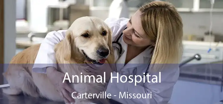 Animal Hospital Carterville - Missouri