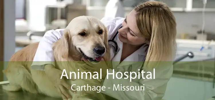 Animal Hospital Carthage - Missouri