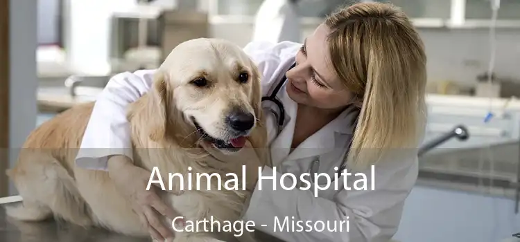 Animal Hospital Carthage - Missouri