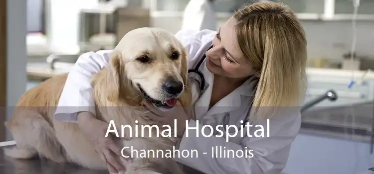 Animal Hospital Channahon - Illinois