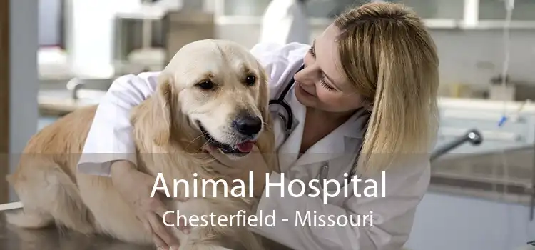 Animal Hospital Chesterfield - Missouri