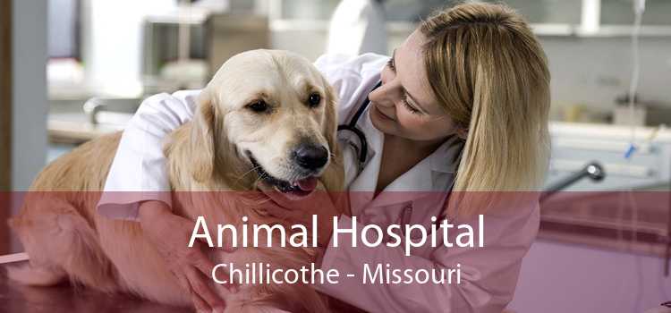 Animal Hospital Chillicothe - Missouri