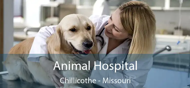 Animal Hospital Chillicothe - Missouri