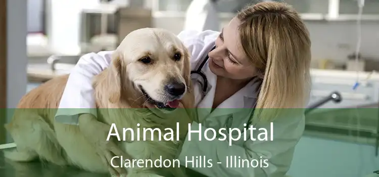 Animal Hospital Clarendon Hills - Illinois