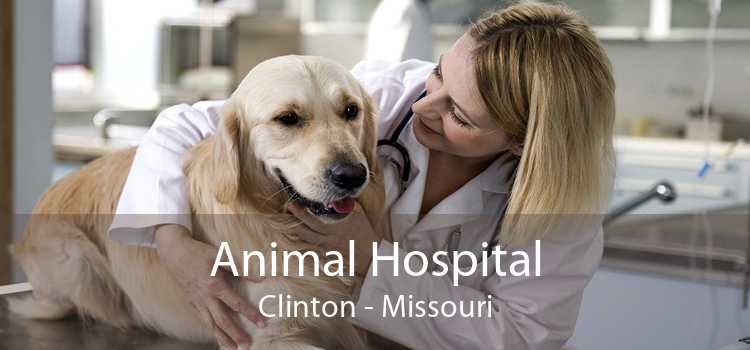 Animal Hospital Clinton - Missouri