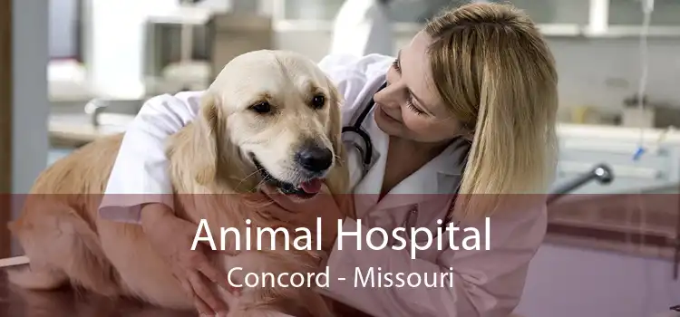 Animal Hospital Concord - Missouri
