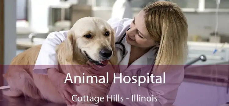 Animal Hospital Cottage Hills - Illinois