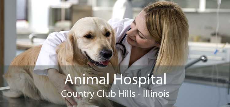 Animal Hospital Country Club Hills - Illinois