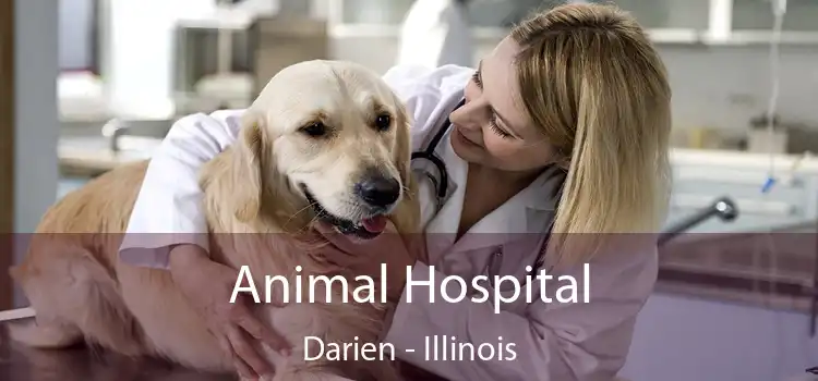 Animal Hospital Darien - Illinois