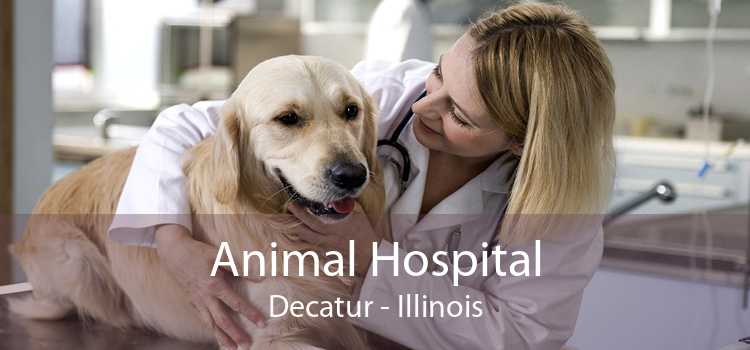 Animal Hospital Decatur - Illinois