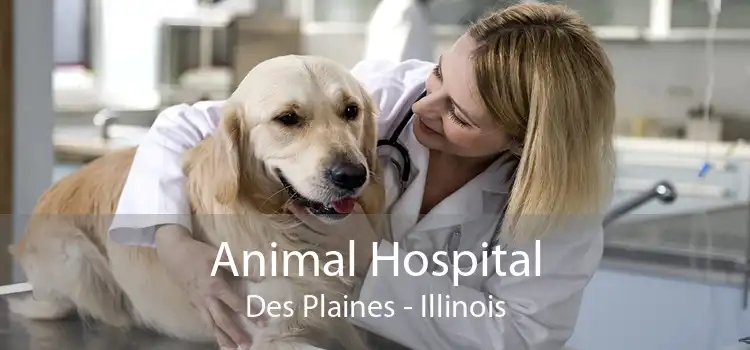 Animal Hospital Des Plaines - Illinois