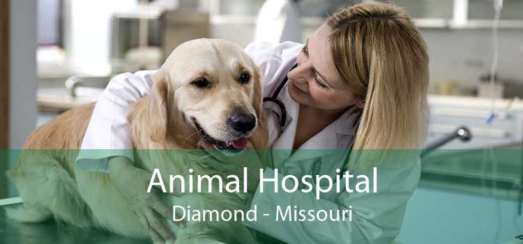 Animal Hospital Diamond - Missouri