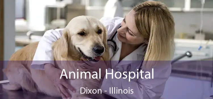 Animal Hospital Dixon - Illinois