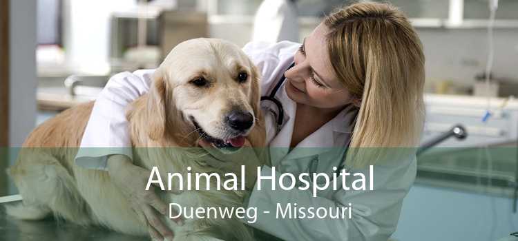 Animal Hospital Duenweg - Missouri