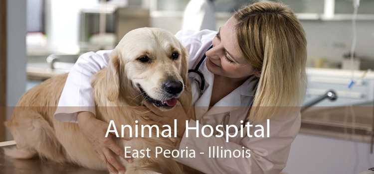 Animal Hospital East Peoria - Illinois