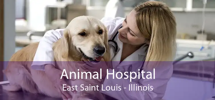 Animal Hospital East Saint Louis - Illinois