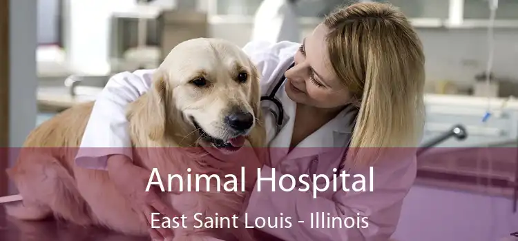 Animal Hospital East Saint Louis - Illinois