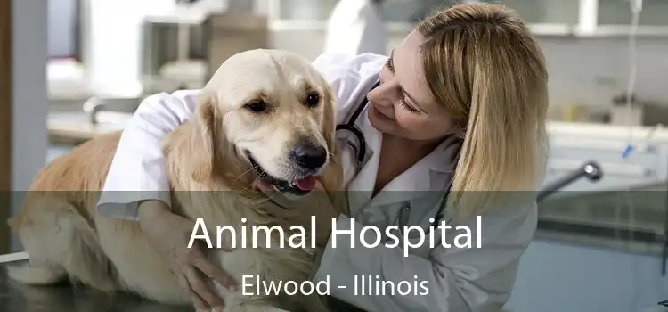 Animal Hospital Elwood - Illinois