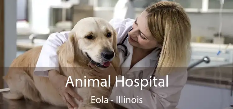 Animal Hospital Eola - Illinois