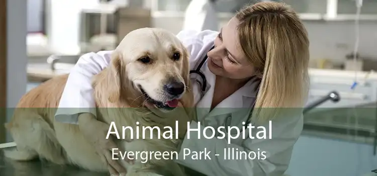 Animal Hospital Evergreen Park - Illinois